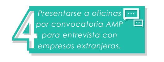 Paso 4: Entrevista con empresa extranjera